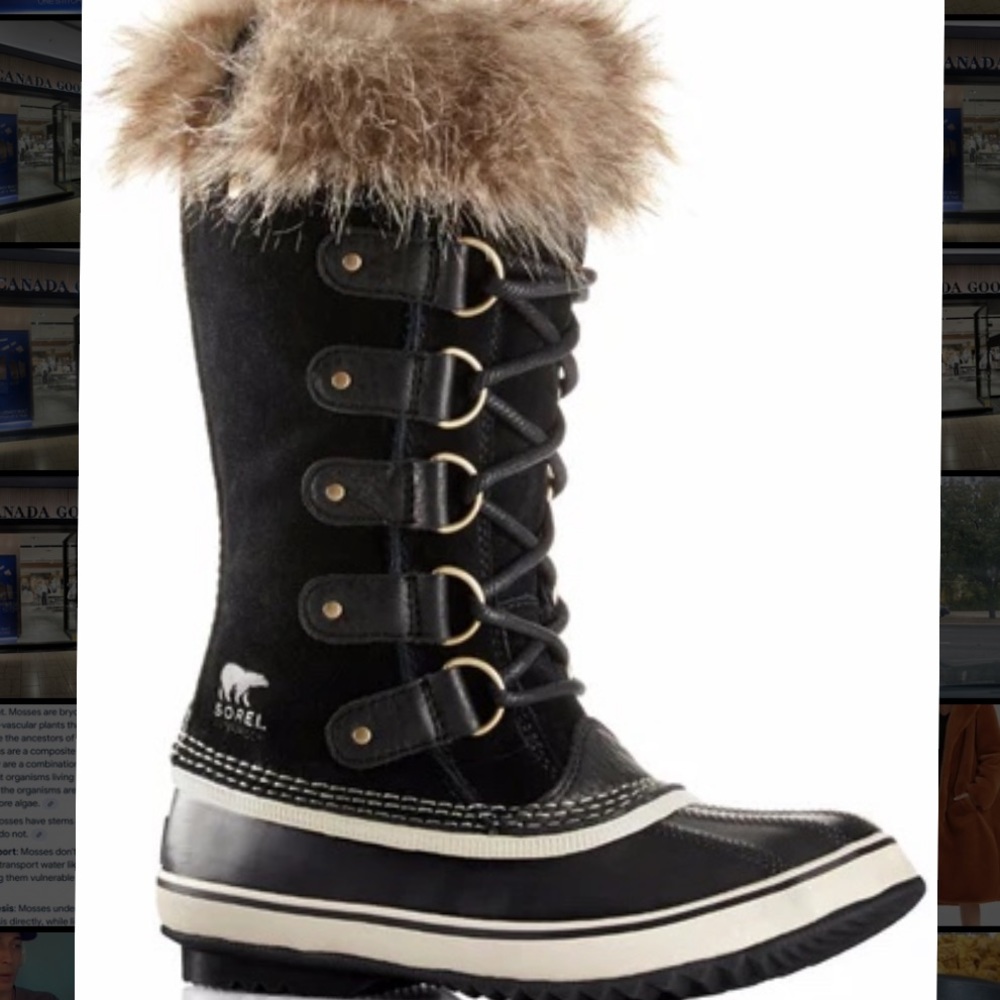 Joan of Artic Sorel Boots